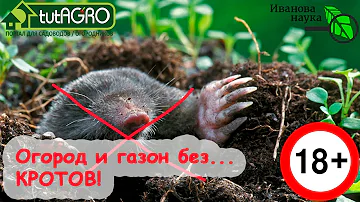 КРОТЫ ДОСТАЛИ? ЕСТЬ РЕШЕНИЕ! Всё, кроты на участке больше не проблема! Смотрите подробно это видео!