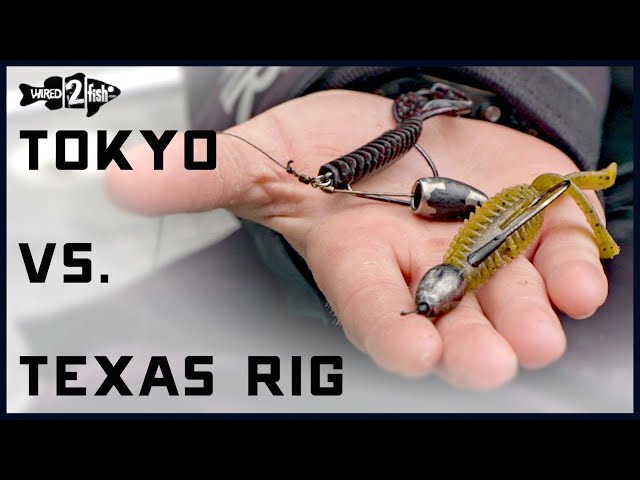 Carolina Rig vs Texas Rig  When to Fish Each - Wired2Fish