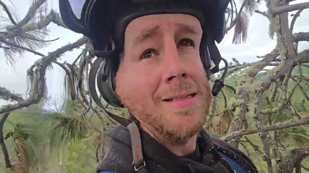 110’ Bucket vs. Uprooting Ponderosa Pine