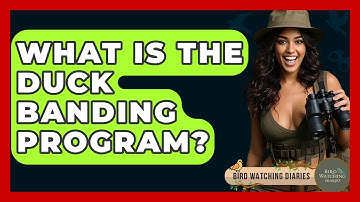 What Is The Duck Banding Program? - Bird Watching Diaries