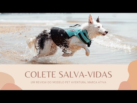 Vídeo: Reduzindo as taxas de seguro para cães com o seguro para vários animais de estimação