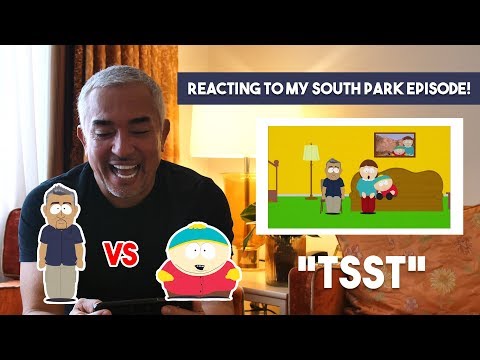 Reacting To My South Park Episode!