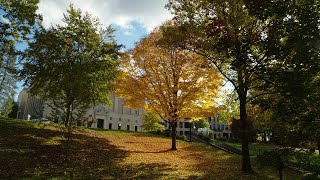 Fall at Kent State