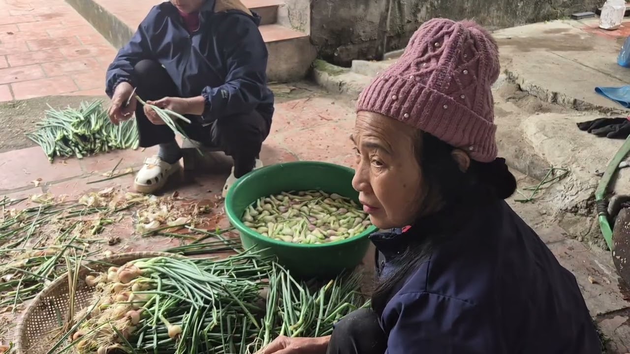 Cùng Mẹ Làm Hành Muối Chua Món Ăn Dân Giã