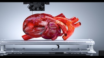 3D bioprinting organs presentation
