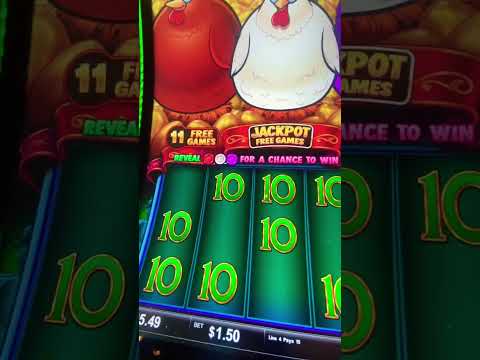 Mustang gold spin atarken #jackpot geliyor