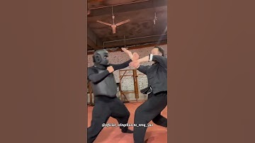 Essential Wing Chun Practice Wisdom Revealed Today - Master Tu Tengyao