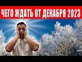 С 1 декабря нововведения для всех украинцев, ТЦК, проверки, цены на свет, дефицит