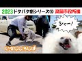 2023狂犬病予防注射会場のドタバタ劇⑯ 高岡市役所編
