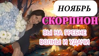 видео: СКОРПИОН ♏️ НОЯБРЬ. ВАША ЛИЧНАЯ УДАЧА И ПЕРСПЕКТИВЫ  картинка: СКОРПИОН ♏️ НОЯБРЬ. ВАША ЛИЧНАЯ УДАЧА И ПЕРСПЕКТИВЫ