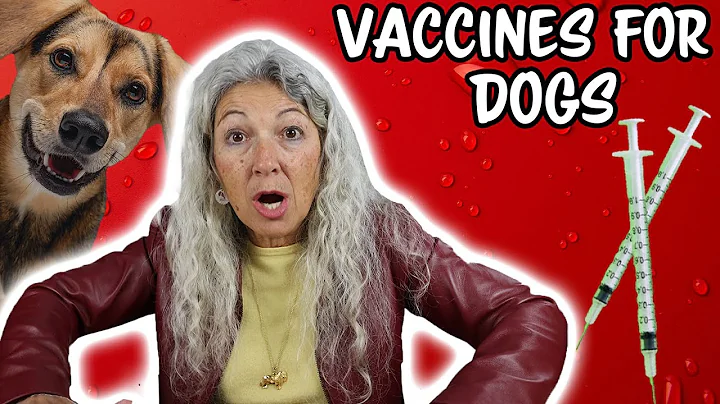 Dr Judy Discusses Vaccines