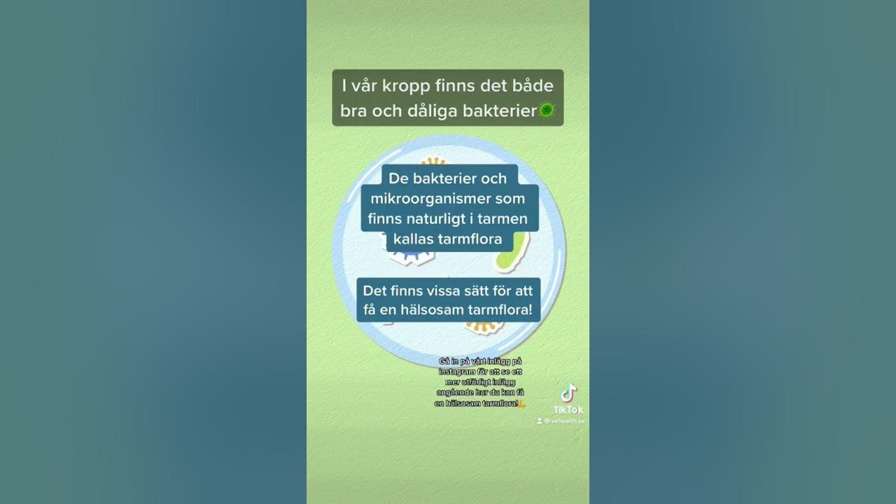 Hur du får en hälsosam tarmflora! | Träning | Kost | Hälsa - YouTube