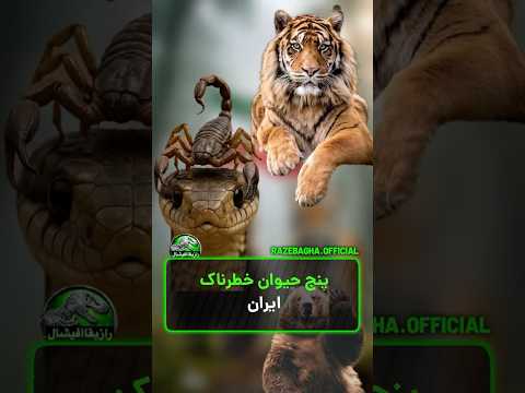 ۵ حیوان خطرناک ایران