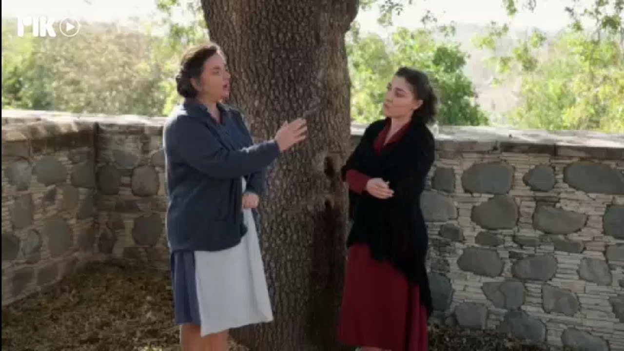 Περικλής Τζαι Εριέττα - Σ3 Επεισόδιο 31 (2025-2026) RIK1 CYPRUS