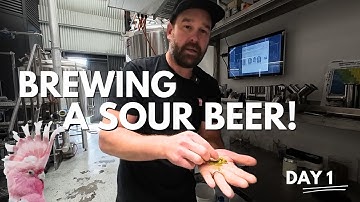 How To Brew A Sour Beer Like A Pro