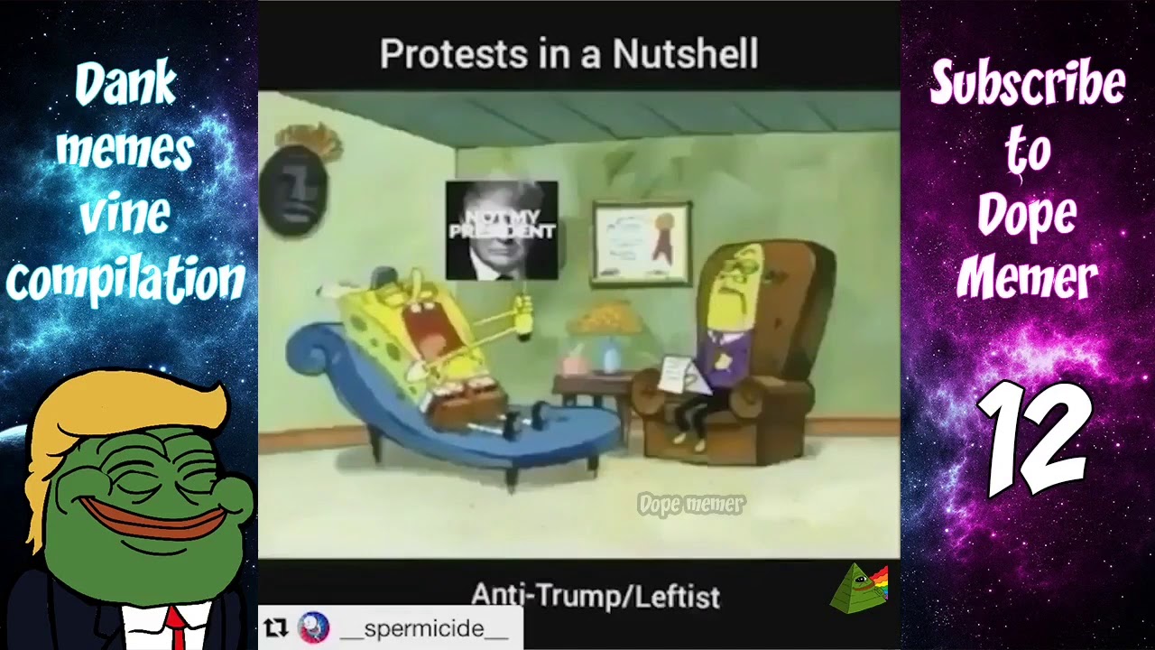 Spongebob Protests In A Nutshell Meme YouTube