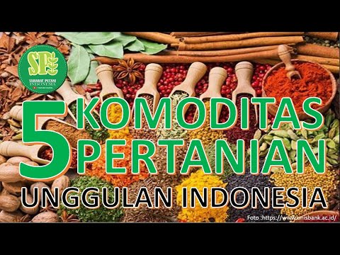 Video: Apakah sokongan harga pertanian?