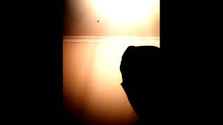 Bedi̇rhan Ünal (Bi̇tti̇) Offi̇ci̇al