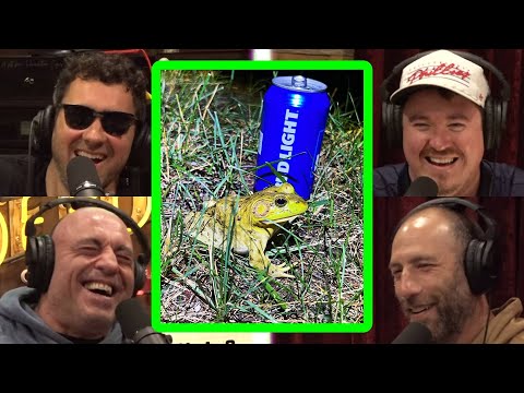Shane Gillis Can Save Bud Light with Joe Rogan!