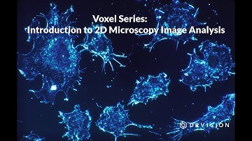 Aivia - [Voxel Series] Introduction to 2D Microscopy Image Analysis