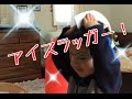 【ウルトラセブン変身セット】手作りアイスラッガー！w　Ultra Seven