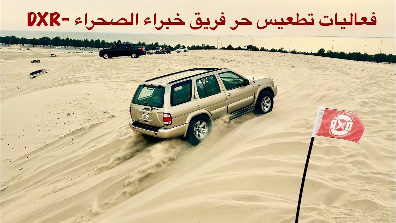 تطعيس حر بالهافمون فريق خبراء الصحراء DXR