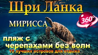 мирисса пляж с черепахами без волн. Mirissa beach with turtles without waves. 10 лучших островов для