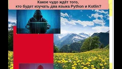 Парень начал писать на двух языках Python и Kotlin за полгода. Как и зачем такое достигается?