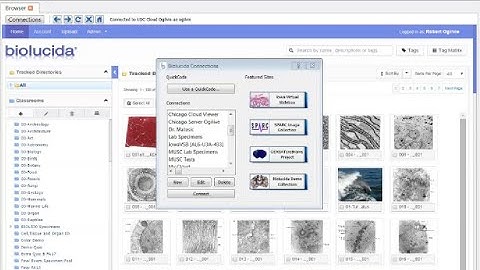 Biolucida Lab Specimens Demostration