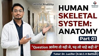 Human Skeletal System Anatomy Part 01 ☠️🦴💀