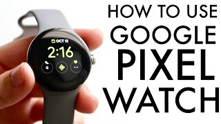 How To Use Google Pixel Watch! (Complete Beginners Guide)