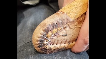 Learn handsewn shoe making with Carreducker