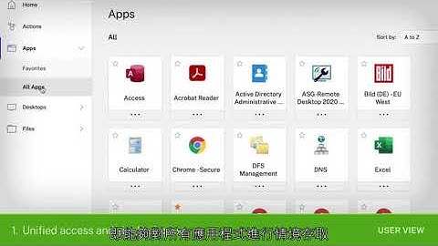 Citrix Secure Workspace Access