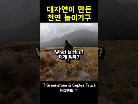 대자인이 만든 천연 놀이기구 - 천연 트램폴린 #뉴질랜드트레킹 #삼수원정대