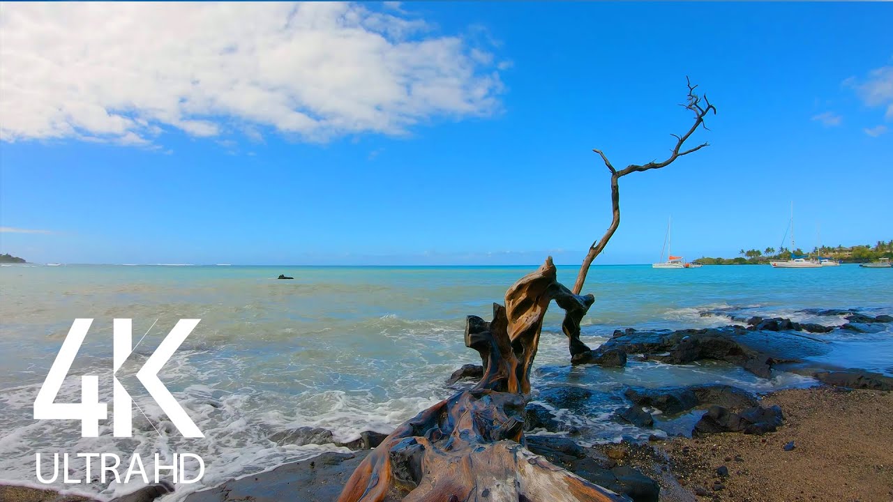 8HRS Calming Sounds of Big Island's Beaches - Waves White Noise for Sleep   Relaxation  4K UHD