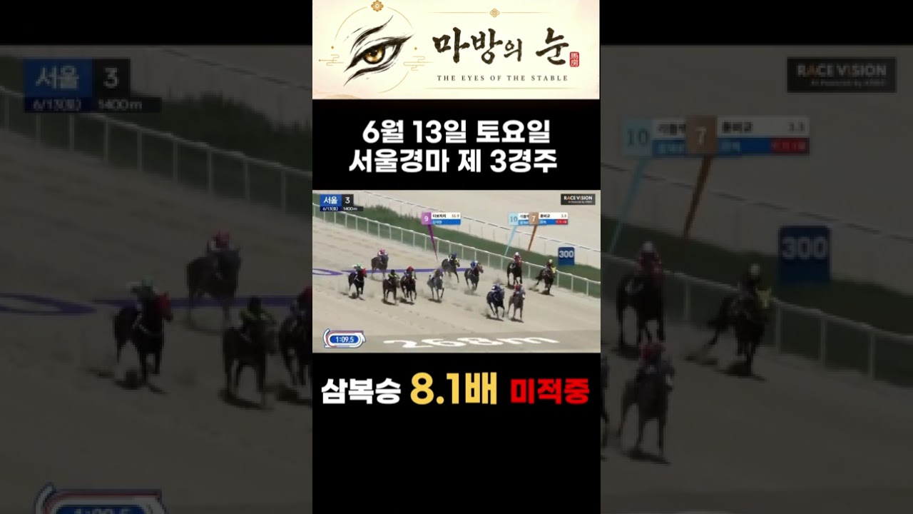 🐎 6월 13일 서울 제3경주 결과