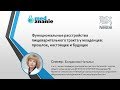 Вебинар: "Функциональные расстройства пищеварительного тракта у младенцев"