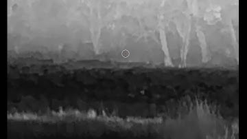 Thermal deer control 308win Samba