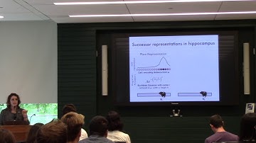 [MIND 2019] Kim Stachenfeld: Cognitive Maps in Mice and Machines