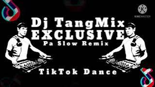 DJ TANGMIX EXCLUSIVE PA SLOW REMIX | TIKTOK DANCE