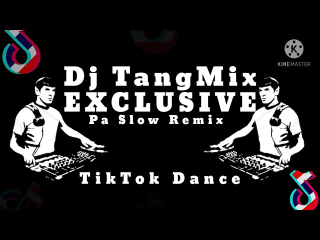 DJ TANGMIX EXCLUSIVE PA SLOW REMIX | TIKTOK DANCE class=