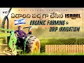 Organic Farming and Drip irrigation techniques in Israel | Netafim | Ravi Telugu Traveller