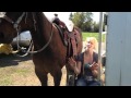 WHEELCHAIR WEDNESDAY #25: Lifting myself on my horse from a wheelchair