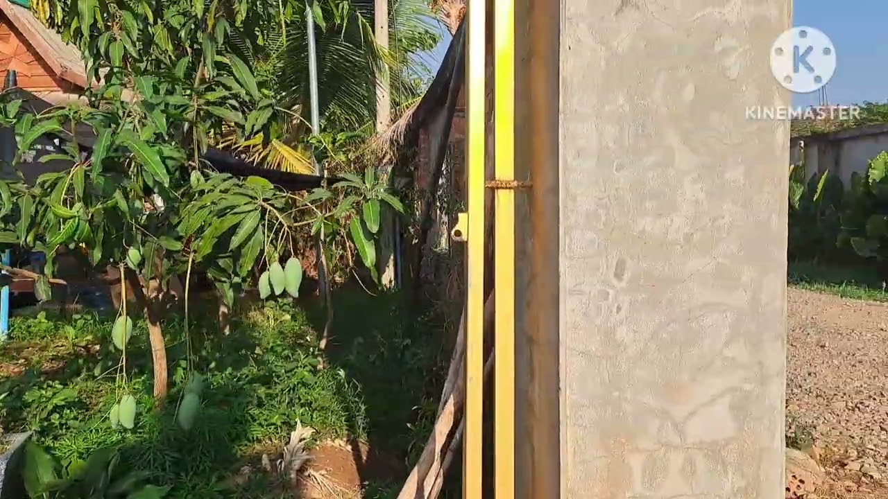2 ມີນາ 2026