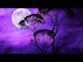 Deep Sleep Music 528Hz |  Meditative Sleep | Positive Energy Meditation Sleep | Deep Healing Miracle