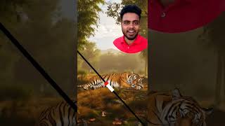 tiger 🐯 sleep game #tiger #sleep #game #challenge #shorts #youtubeshorts #foryou