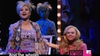 my favorite parts of legally blonde the musical
