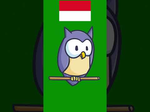 Nauka Języka Indonezyjskiego - DUCH i PTAK