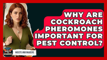 Why Are Cockroach Pheromones Important For Pest Control? - Insects and Invaders