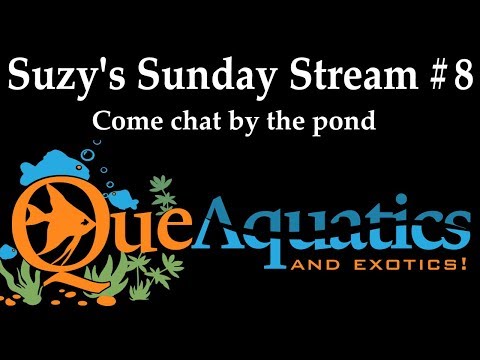 ponds at bayberry Suzy's Sunday Stream #8